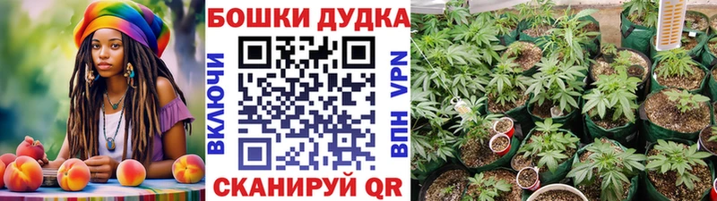 Названия наркотиков Каспийск Альфа ПВП Мефедрон Гашиш Канабис
